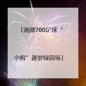 湘潭700足球“小将”逐梦绿茵场