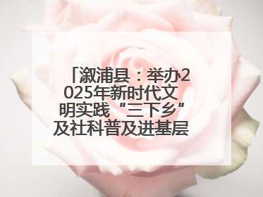 溆浦县：举办2025年新时代文明实践“三下乡”及社科普及进基层主题活动