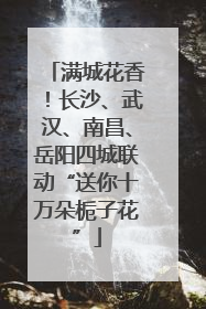 满城花香！长沙、武汉、南昌、岳阳四城联动“送你十万朵栀子花”