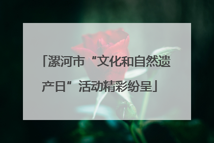 漯河市“文化和自然遗产日”活动精彩纷呈