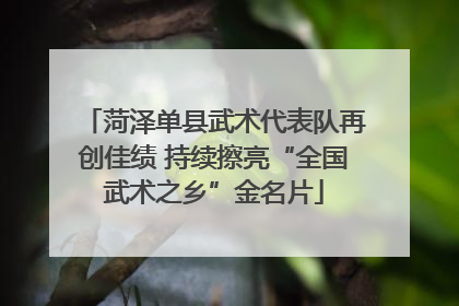 菏泽单县武术代表队再创佳绩 持续擦亮“全国武术之乡”金名片