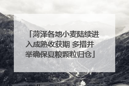 菏泽各地小麦陆续进入成熟收获期 多措并举确保夏粮颗粒归仓