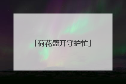 荷花盛开守护忙