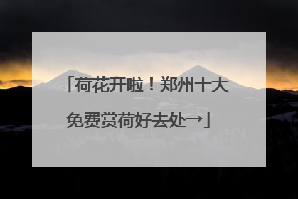荷花开啦！郑州十大免费赏荷好去处→
