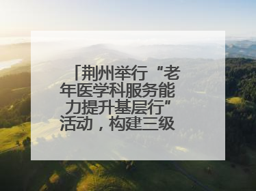 荆州举行“老年医学科服务能力提升基层行”活动，构建三级联动健康网