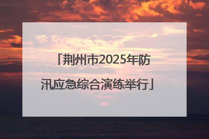 荆州市2025年防汛应急综合演练举行