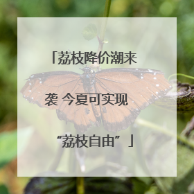 荔枝降价潮来袭 今夏可实现“荔枝自由”