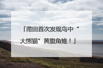 莆田首次发现鸟中“大熊猫”黄腹角雉！