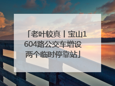 老叶较真丨宝山1604路公交车增设两个临时停靠站