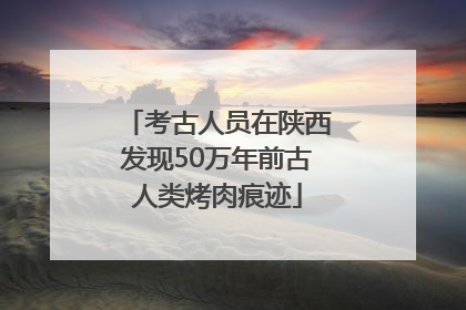 考古人员在陕西发现50万年前古人类烤肉痕迹
