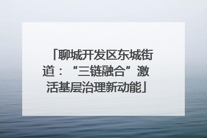 聊城开发区东城街道：“三链融合”激活基层治理新动能