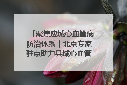 聚焦应城心血管病防治体系｜北京专家驻点助力县域心血管诊疗技术突破