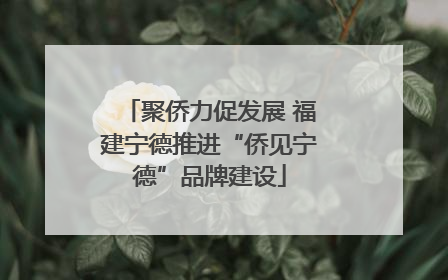 聚侨力促发展 福建宁德推进“侨见宁德”品牌建设