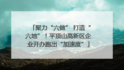 聚力“六做” 打造“六地”！平顶山高新区企业开办跑出“加速度”