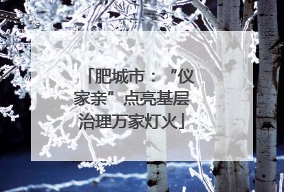 肥城市：“仪家亲”点亮基层治理万家灯火