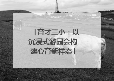 育才三小：以沉浸式游园会构建心育新样态