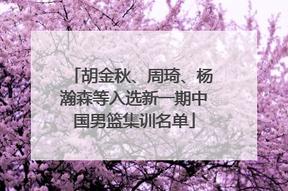 胡金秋、周琦、杨瀚森等入选新一期中国男篮集训名单
