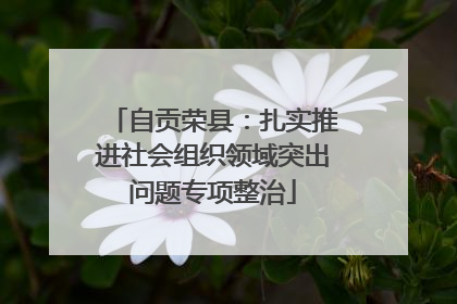 自贡荣县：扎实推进社会组织领域突出问题专项整治