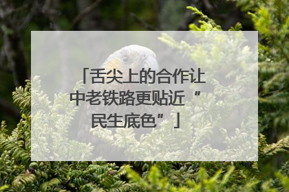 舌尖上的合作让中老铁路更贴近“民生底色”