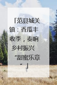 范县城关镇：香瓜丰收季，奏响乡村振兴 “甜蜜乐章”