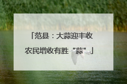 范县：大蒜迎丰收 农民增收有胜“蒜”