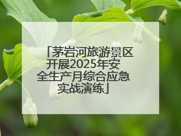 茅岩河旅游景区开展2025年安全生产月综合应急实战演练