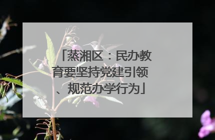 蒸湘区：民办教育要坚持党建引领、规范办学行为