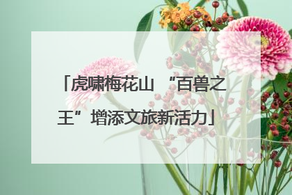 虎啸梅花山 “百兽之王”增添文旅新活力