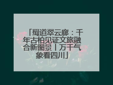 蜀道翠云廊:千年古柏见证文旅融合新图景丨万千气象看四川