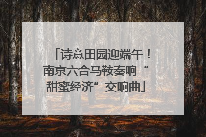 诗意田园迎端午！南京六合马鞍奏响“甜蜜经济”交响曲