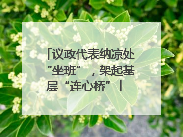 议政代表纳凉处“坐班”，架起基层“连心桥”