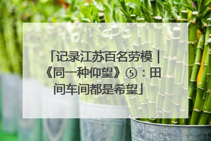记录江苏百名劳模｜《同一种仰望》⑤：田间车间都是希望
