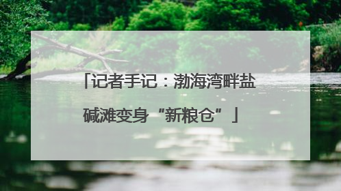 记者手记：渤海湾畔盐碱滩变身“新粮仓”