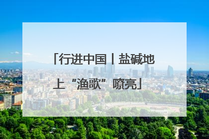 行进中国丨盐碱地上“渔歌”嘹亮