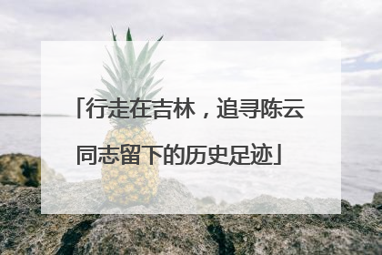 行走在吉林，追寻陈云同志留下的历史足迹