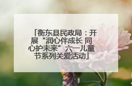 衡东县民政局：开展“润心伴成长 同心护未来”六一儿童节系列关爱活动