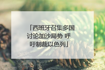 西班牙召集多国讨论加沙局势 呼吁制裁以色列