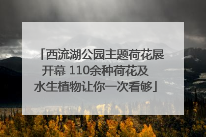 西流湖公园主题荷花展开幕 110余种荷花及水生植物让你一次看够