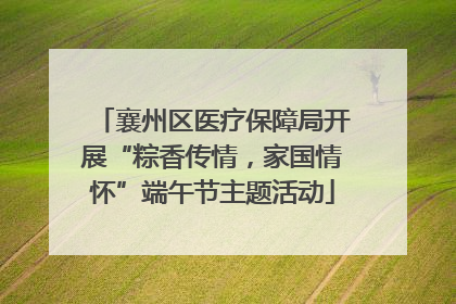 襄州区医疗保障局开展“粽香传情，家国情怀”端午节主题活动