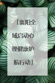 襄阳全域启动心理健康护航行动