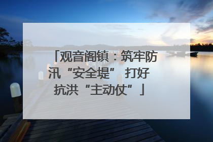 观音阁镇：筑牢防汛“安全堤” 打好抗洪“主动仗”