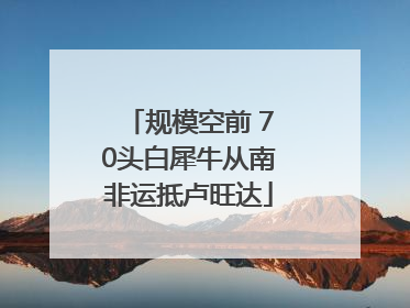 规模空前 70头白犀牛从南非运抵卢旺达