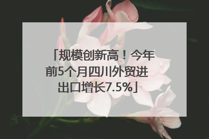 规模创新高！今年前5个月四川外贸进出口增长7.5%