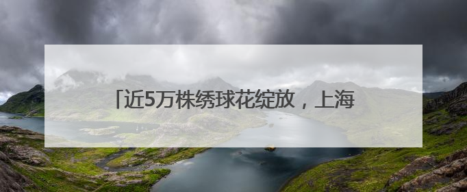 近5万株绣球花绽放，上海滨江森林公园绣球花展开幕