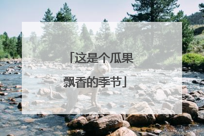 这是个瓜果飘香的季节