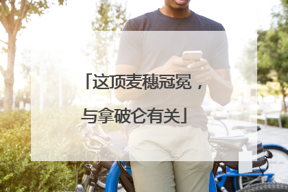 这顶麦穗冠冕，与拿破仑有关