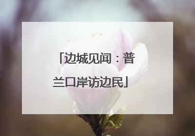 边城见闻：普兰口岸访边民