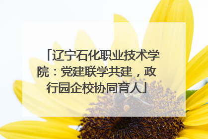 辽宁石化职业技术学院：党建联学共建，政行园企校协同育人