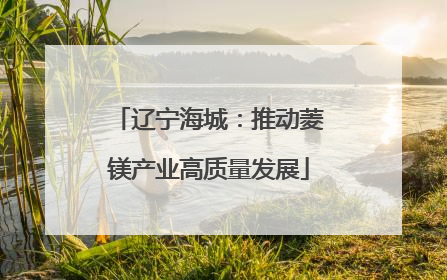 辽宁海城：推动菱镁产业高质量发展