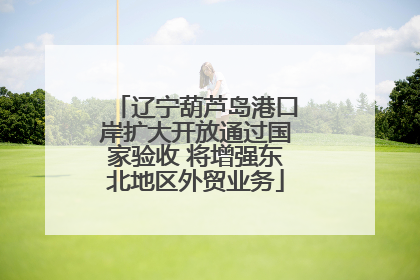 辽宁葫芦岛港口岸扩大开放通过国家验收 将增强东北地区外贸业务